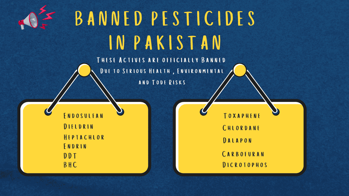 Infographic showing banned pesticides in Pakistan due to health and environmental risks.