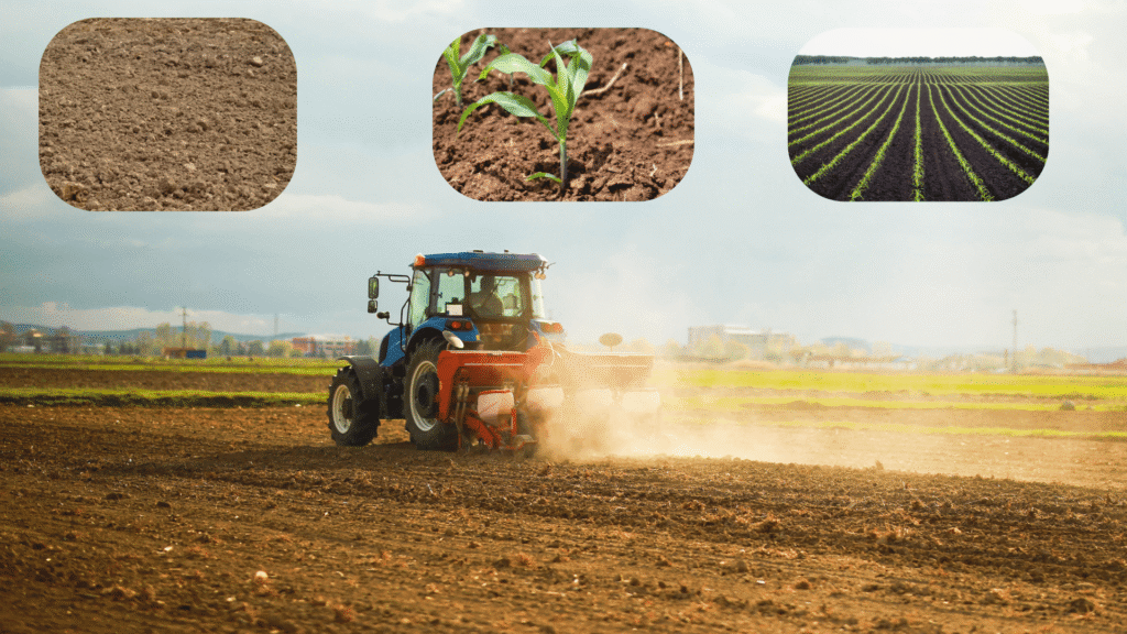 Soil preperation practices for corn: farmer on tractor prepairing field for corn sowing